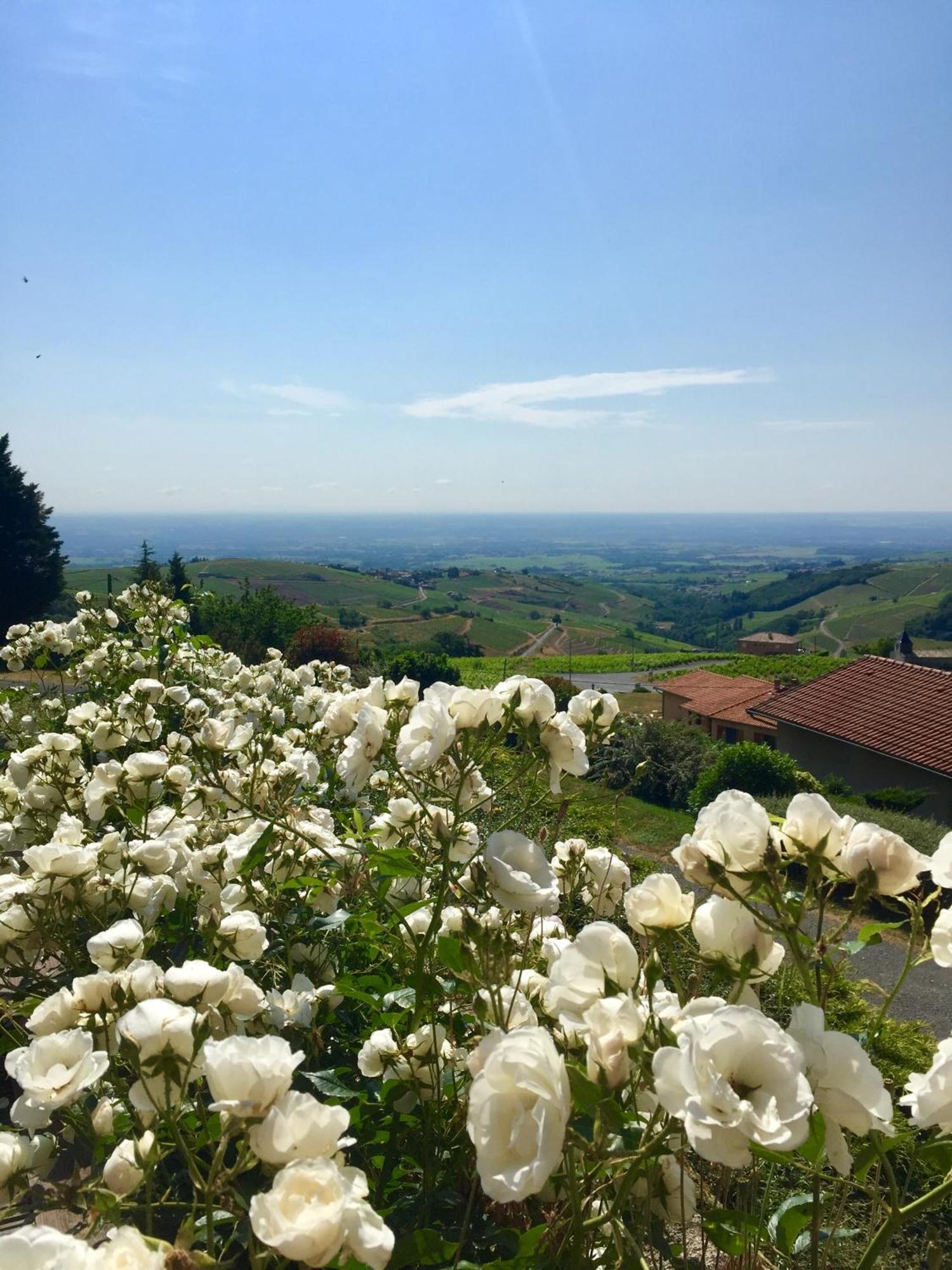 Bed and Breakfast Le Balcon Du Fetre Chiroubles Exterior foto